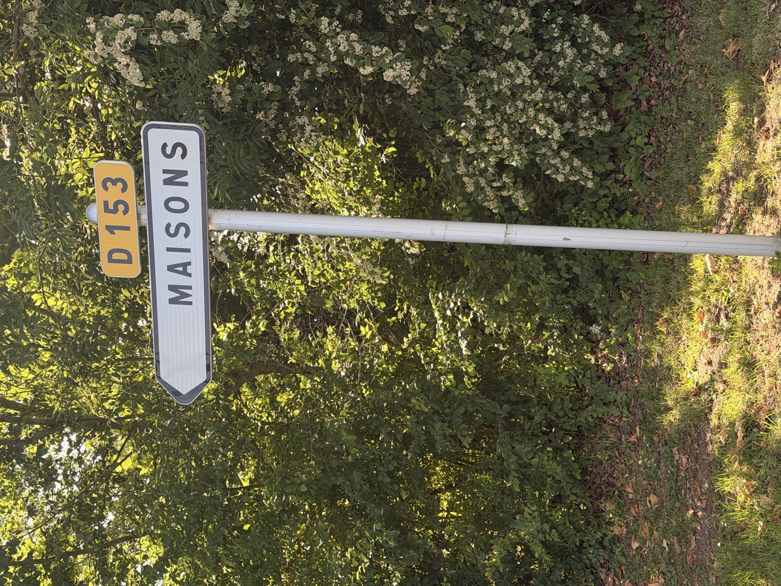 Recensement de la population 2022